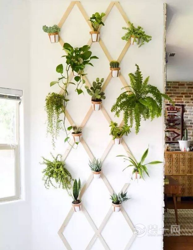 室内装修布局绿色环保植物墙设计规划方法